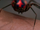 Genetically Engineered Super Spider (Earth-96283)