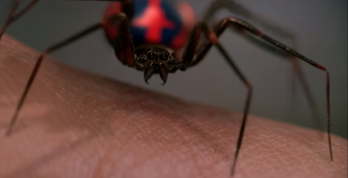 Super spider best sale