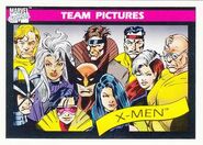 X-Men (Earth-616) from Marvel Universe Cards Series I 0001