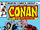 Conan the Barbarian Vol 1 142