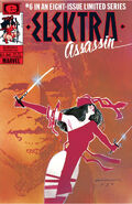 Elektra: Assassin #4