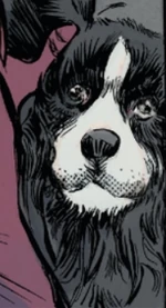 Buddy (Earth-616) from Avengers Marvels Snapshots Vol 1 1 0001