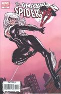 Amazing Spider-Man Vol 1 612 Variant Black Cat