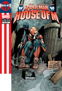 Spider-Man: House of M #5 "House of M" (December, 2005)