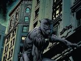 Black Panther Recommended Reading