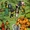 Alpha Flight (Earth-913)