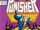 Punisher: War Zone Vol 1 29