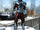 Peter Parker (Earth-14132)