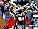 Tigerstryke (Mitchell) (Earth-616)