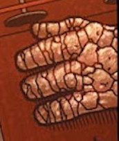 Benjamin Grimm (Earth-807128) from Wolverine Vol 3 72 001