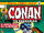 Conan the Barbarian Vol 1 38