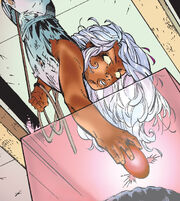 Ororo Munroe (Earth-616) and Heart of Eternal Darkness from X-Men Vol 2 60 001