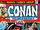 Conan the Barbarian Vol 1 23