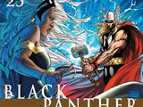 Black Panther Vol 4 25