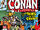 Conan the Barbarian Vol 1 92