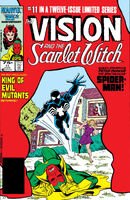 Vision and the Scarlet Witch Vol 2 11