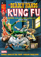 Deadly Hands of Kung Fu Vol 1 10