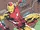Anthony Stark (Earth-616) from Tony Stark Iron Man Vol 1 9 003.jpg