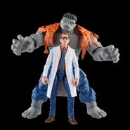 Marvel Legends Banner.jpeg (209 KB) Marvel Legends (Dr. Bruce Banner)