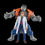 Marvel Legends (Dr. Bruce Banner)