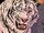 Shere Khan (Ideaverse)