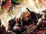 Old Man Logan Vol 2 2