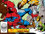 Peter Parker, The Spectacular Spider-Man Vol 1 49