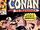 Conan the Barbarian Vol 1 225