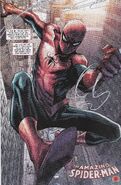 Da Superior Spider-Man Team-Up Vol 1 12