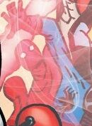Peter Parker (Earth-Unknown) from Spider-Verse Vol 1 2 008.jpg