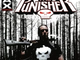 Punisher HC Vol 1 4