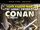 Savage Sword of Conan: The Original Marvel Years Omnibus Vol 1 7