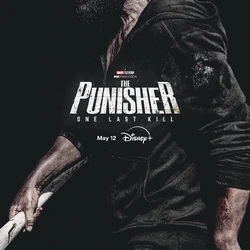 The Punisher: One Last Kill
