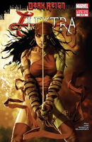 Dark Reign Elektra Vol 1 5
