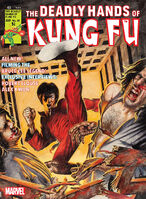Deadly Hands of Kung Fu Vol 1 26