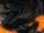 Fenris Wolf (Earth-6109)