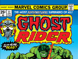 Ghost Rider Vol 2 11