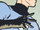 Jonathan Storm (Earth-66881) from Exiles Vol 3 4.png
