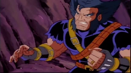Wolverine (Logan) (Earth-95099)