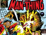 Man-Thing Vol 2 8