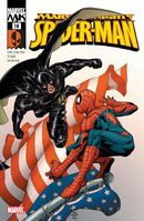 Marvel Knights: Spider-Man #18