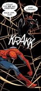 Being punched by Spider-Man From Amazing Spider-Man (Vol. 3) #15