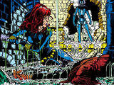 Marvel Fanfare Vol 1 12