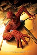 Spider-Man (2002 film) Poster 2