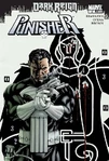 Punisher (Vol. 8) #2 (February, 2009)