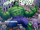 Bruce Banner (Earth-3588)