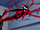 Carnage (Symbiote) (Earth-98311)