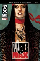 Punishermax #20 "Home Less, Part Four"