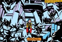 Friends from Fantastic Four Vol 1 239 0001