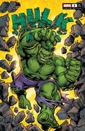 Hulk (Vol. 5) #1 Jurgens Variant